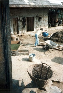 eika image